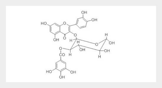 Isolation, Identification and Antibacterial and Wound Healing Studies of Quercetin-3-O- u03b1-L- Rhamnopyranoside -2u301e-Gallate