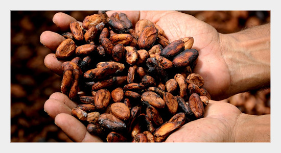 Entomotoxicant Potential of Some Medicinal Plant Against Ephestia cautella Infesting Cocoa Bean in Storage