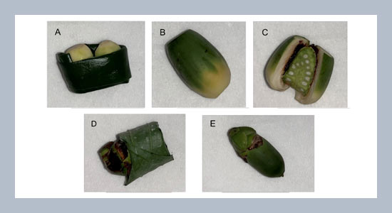 A simple HPLC-MS/MS method for the analysis of multi-mycotoxins in betel nut