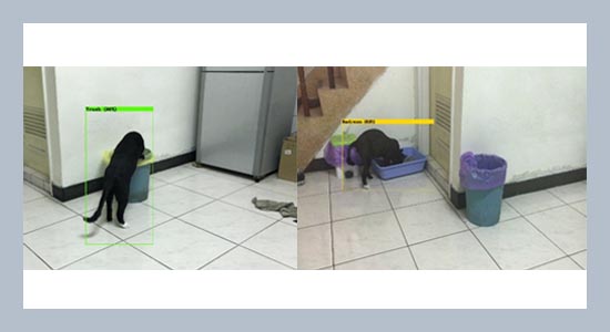 Monitoring the behaviours of pet cat based on YOLO model and raspberry Pi