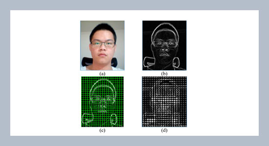Face recognition system with feature normalization