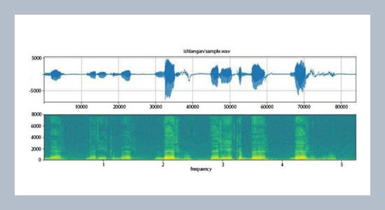 Software for preprocessing voice signals
