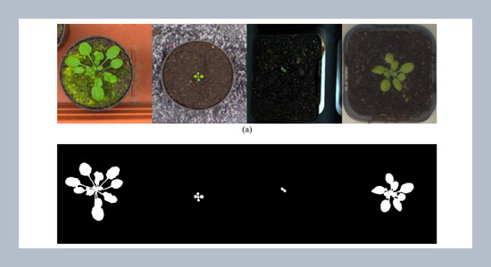 Automatic monitoring of the growth of plants using deep learning-based leaf segmentation