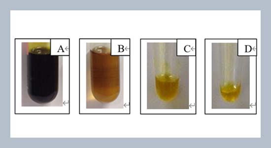 Comparison of biodiesel yield from seed oils extracted by ultrasound-assisted chemical solvent and supercritical CO2 methods