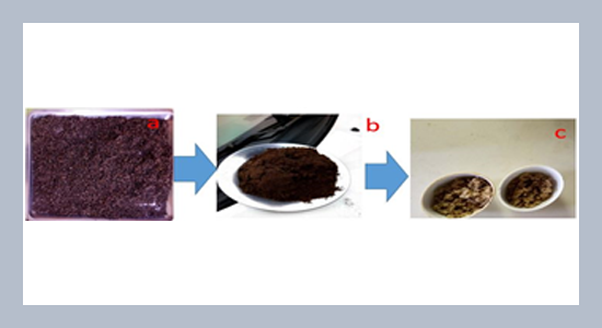 Turbidity reduction of abattoir wastewater by the coagulation-flocculation process using papaya seed extract