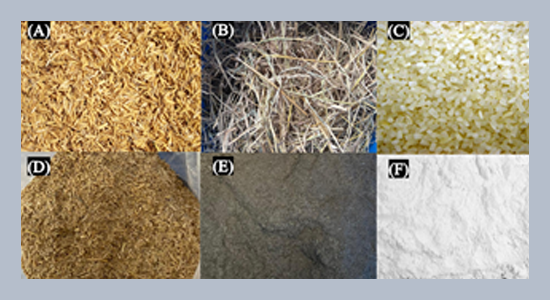 Influence of organic binder and moisture content on the durability of rice husk and rice straw-based pellets