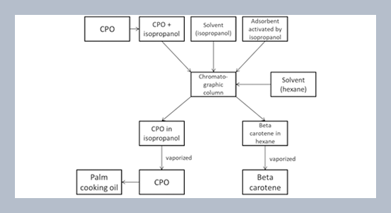 Product, process and net present worth analysis of a palm oil-based beta carotene industry