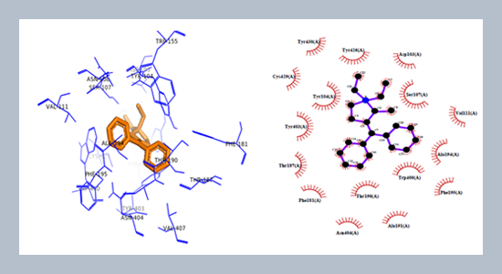 Experimental and theoretical investigations of prifinium bromide: structural insights, spectroscopic features, topological aspects, and biological properties