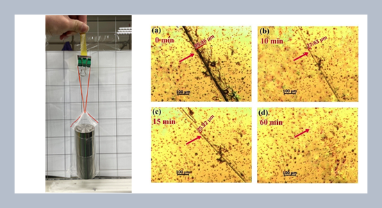 Sustainable polyimine vitrimers derived from biological resources with high performance and self-healing properties