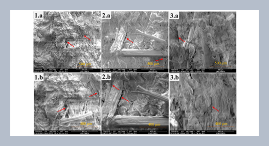 Viscoelastic of recycled high-density polyethylene (rHDPE) reinforcement with bamboo fiber composite