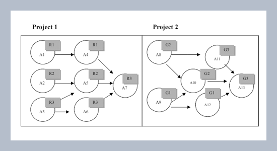 Robust Preemptive Resource Assignment for Multiple Software Projects Using Parameter Design