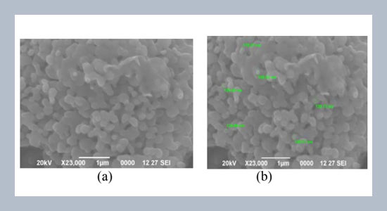 Preparation of MnFe2O4 Nanoceramic Particles by Soft Chemical Routes