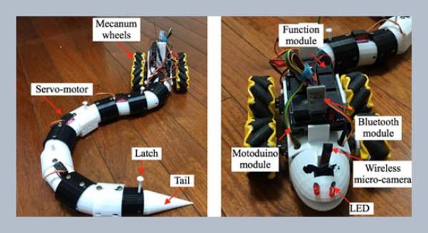 Design and implementation of a snake-like robot with biomimetic 2-D gaits