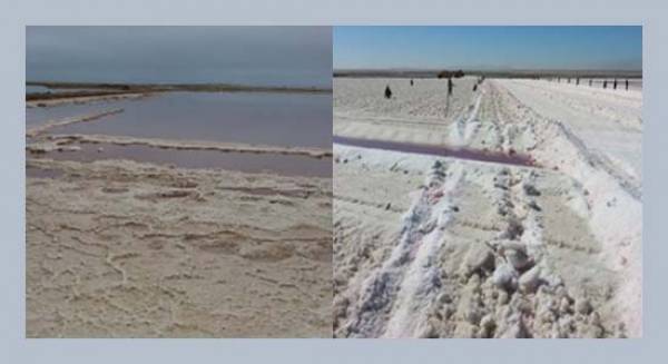 Annual effective dose and radiological risk assessment from selected salt pans from the lagoon of Erongo region, Namibia.