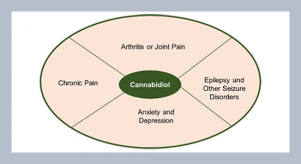 Cannabidiol (CBD) for relief from pain, anxiety, and epilepsy: A review