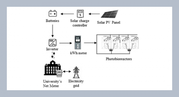 Application of solar photovoltaic for the cultivation of Arthospira platensis (Spirulina)