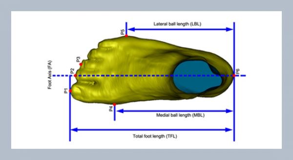 Relationships of three arch height indices related to different foot lengths between sitting and standing postures