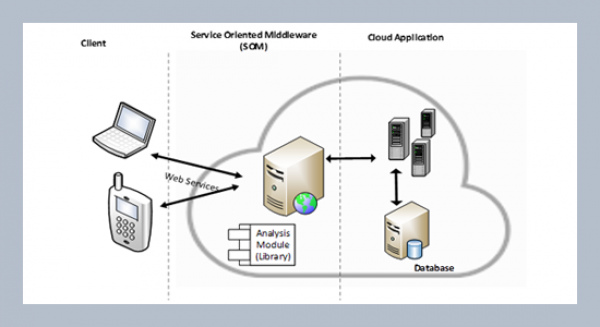 Analysis service architecture utilizing middleware for information services management systems